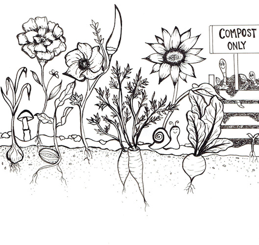 Compost only image